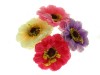 Coloured Flower Bun Garland Scrunchie Elastic