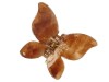 Natural Butterfly Hair Claw Clip - Mid Brown