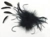 Black Floaty Feather Fascinator