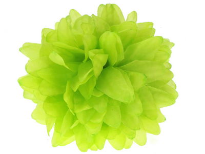 Lime Flower Claw Clip Clamp