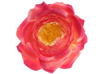 Deep Fuchsia Rose Hair Clip/Corsage