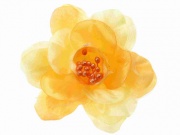 Citrus Orange Organza Flower Hair Clip/Corsage